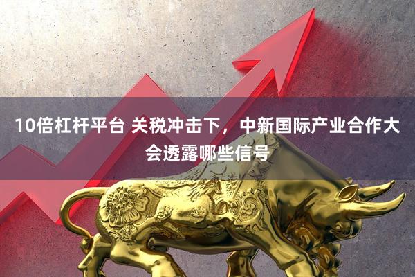 10倍杠杆平台 关税冲击下，中新国际产业合作大会透露哪些信号