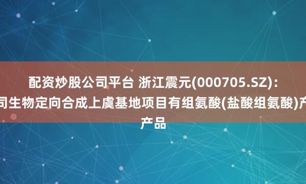 配资炒股公司平台 浙江震元(000705.SZ)：公司生物定向合成上虞基地项目有组氨酸(盐酸组氨酸)产品