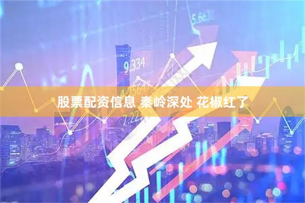 股票配资信息 秦岭深处 花椒红了