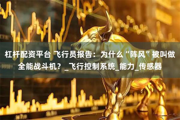 杠杆配资平台 飞行员报告：为什么“阵风”被叫做全能战斗机？_飞行控制系统_能力_传感器